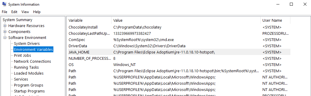 JAVA_HOME as shown in the System Information